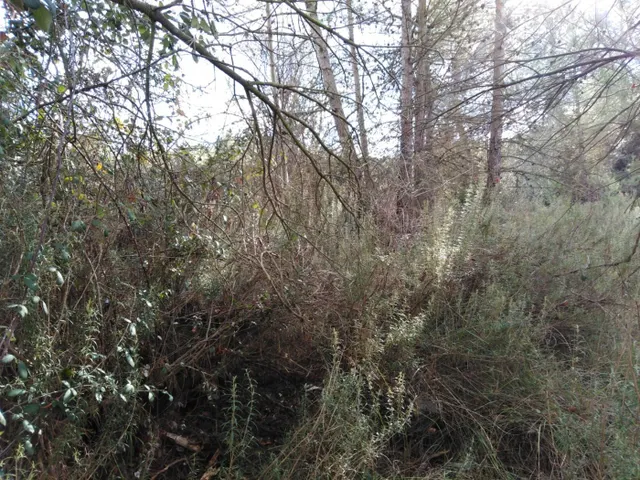 TERRENO URBANO EN VENTA EN EL PONT DE VILOMARA I ROCAFORT (RIVER PARK) — 3