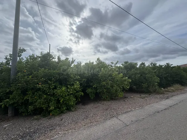 Se vende parcelica de huerto, plantado de limoneros en LLano