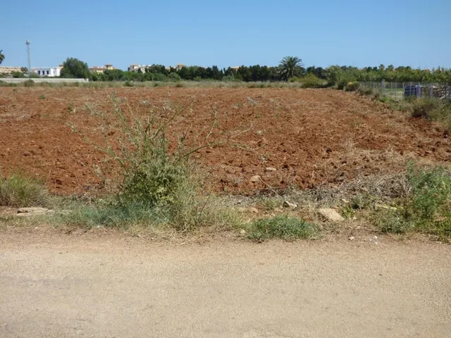Terreno rural en venta - La Pedrera-Vessanes - foto 5