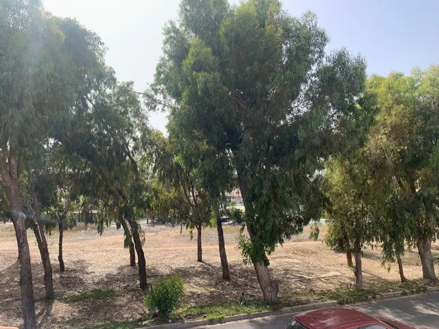 Triplex semi adosado en la tranquila Urbanización Rocajuna — 13