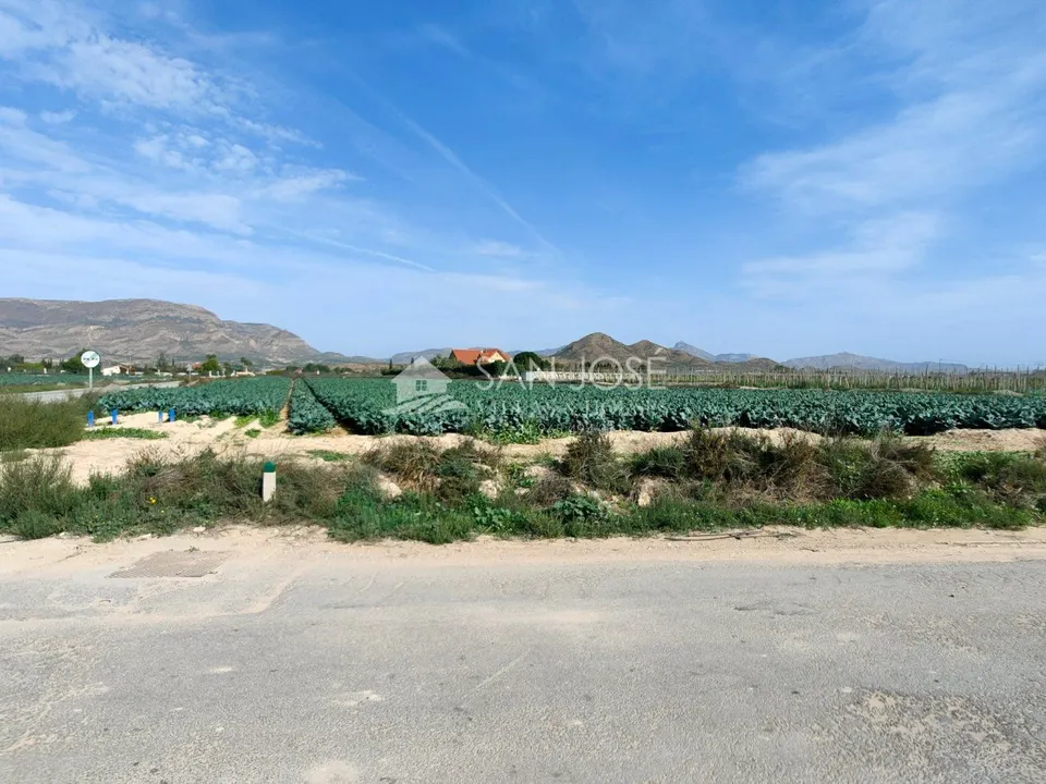 SE VENDE TERRENO RURAL EN MONFORTE DEL CID EN EL CAMINO SAN VICENTE