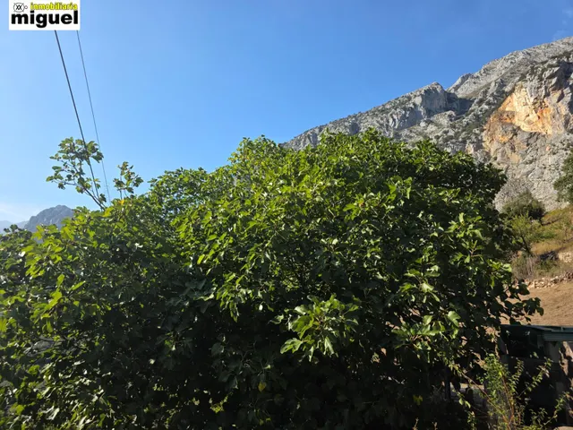 Oportunidad de Inversión en Peñarrubia - Picos de Europa — 28