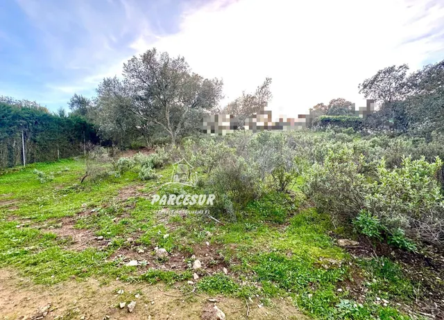 PARCELA EN ZONA ASSUAN MUY BIEN SITUADA DE 6000 m2 aprox. — 6