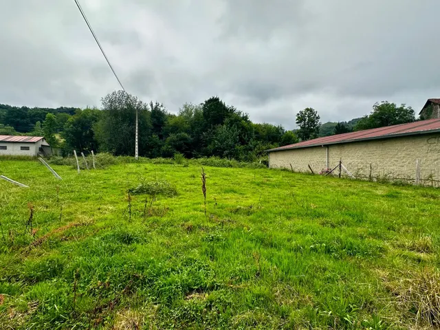 FINCA EDIFICABLE A UN PASO DE COVADONGA — 6