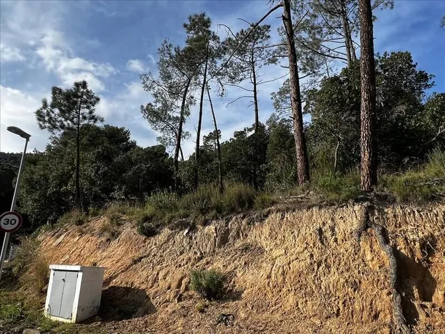 Lote de parcelas en rosamar — 6