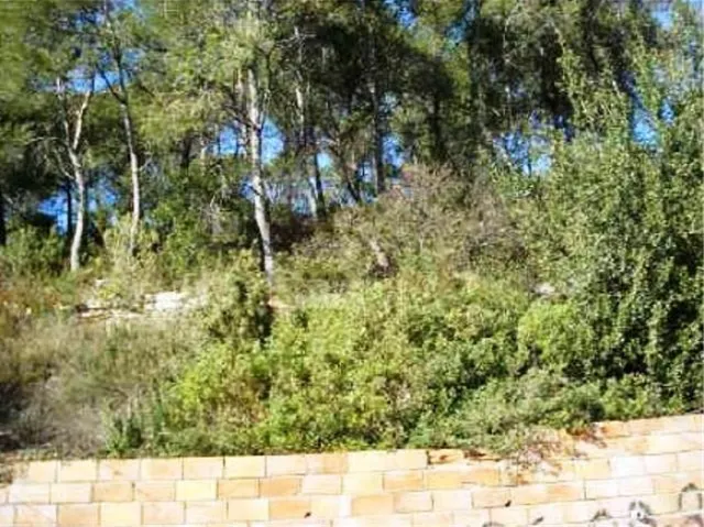 SOLAR EN VENDA A VALLIRANA — 3