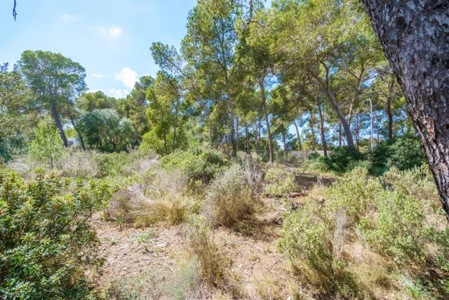 Solar edificable con proyecto en Cala Vinyes — 11