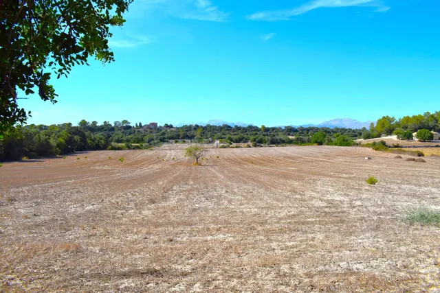 Finca rústica con posibilidad de vivienda en Llubi - foto 3