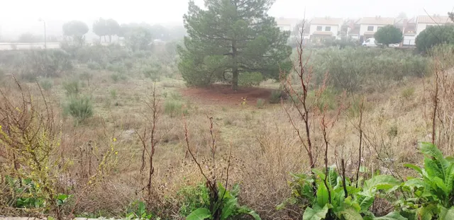 Urbis te ofrece unas parcelas en venta en Boecillo, Valladolid. — 19