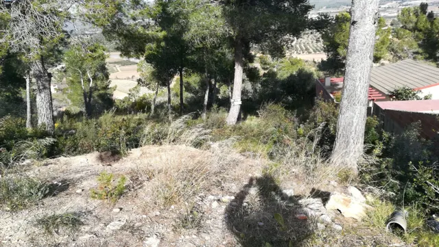 Parcela en venta en La Bisbal del Penedès - foto 2