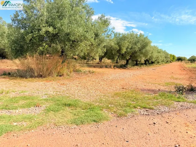 ¡OPORTUNIDAD! PARCELA RÚSTICA DE 3.900 m2 EN PEÑÍSCOLA CON A - foto 4
