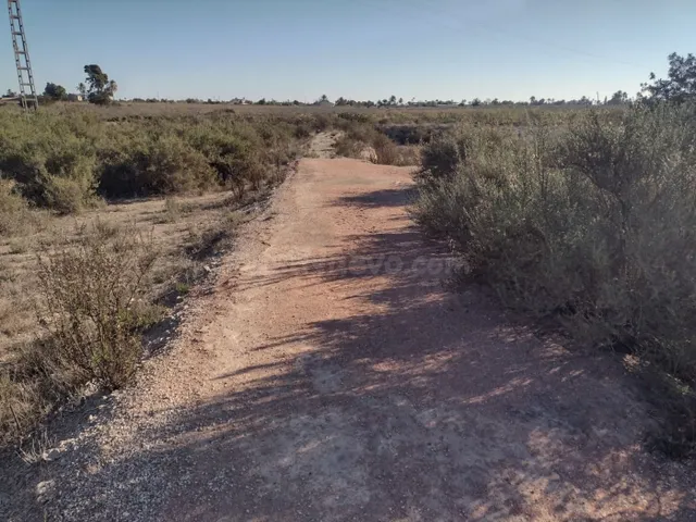 Terreno en Elche - foto 3