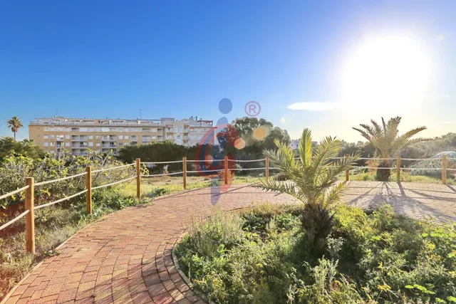 Parking 21m² en alquiler - MERCADONA — 12