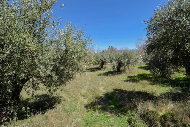 Exclusivo solar en la Villa de Otura — 24