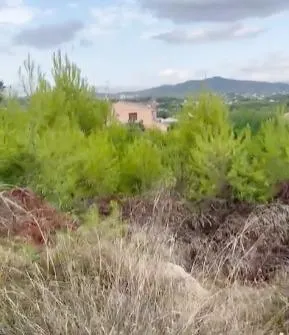 SOLAR CLASE URBANO PARA USO RESIDENCIAL UNIFAMILIAR EN URBANIZACIÓN PINOMAR - JAVEA !! — 12