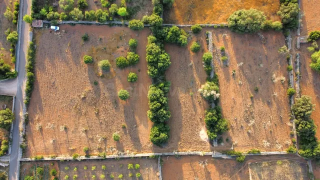 Finca rústica con caseta de herramientas en Santa Margalida - foto 3