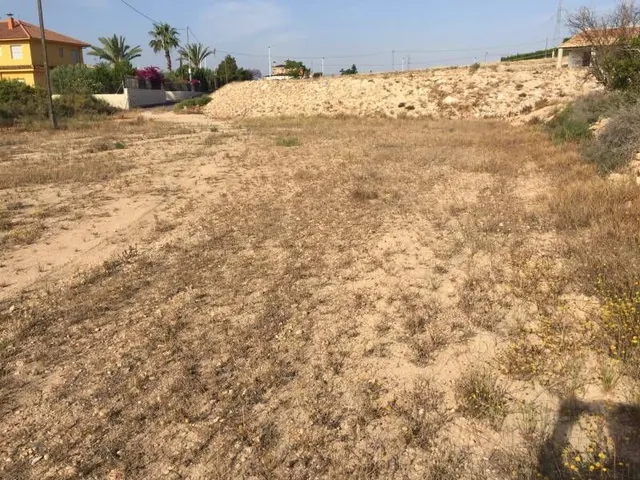 Parcela urbana de casi  30.000m2 en Elche - Zona Pena Las Aguilas — 10