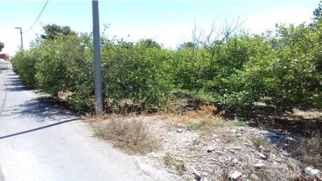 Terreno en venta en carril Serranos Beniajan, Murcia - foto 5