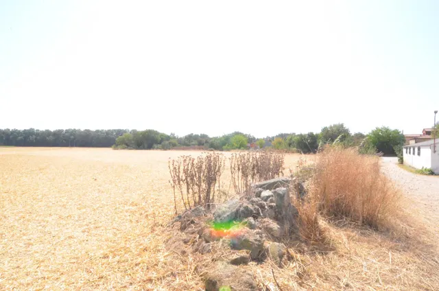Urbis te ofrece un terreno en Doñinos de Salamanca, zona Santibañez del Río. Importante: la parcela no tiene edificación. — 6