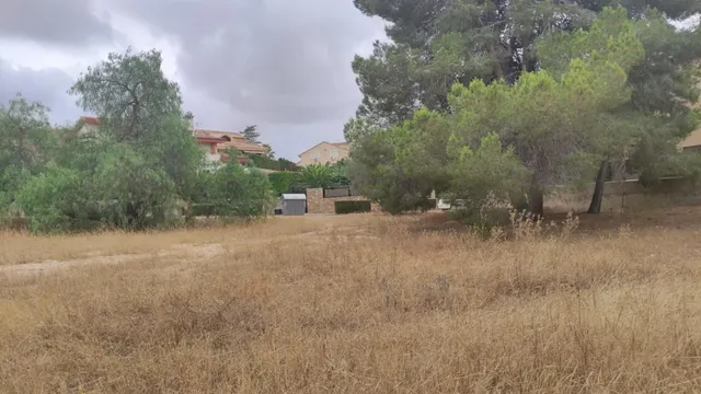 LA MEJOR PARCELA DE ALTORREAL — 10