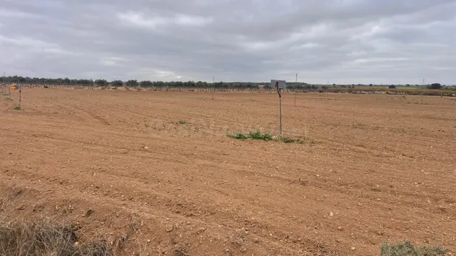 Se venden dos parcelas rústicas de riego en Mahora, Albacete - foto 4