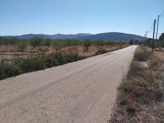 Villa de Obra Nueva Llave en Mano en Pinoso – Exclusividad, Espacio y Confort en Plena Naturaleza — 34