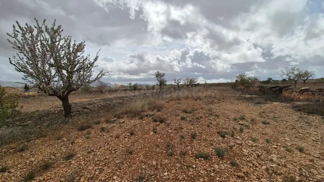 Fantástico terreno edificable con vistas a la sierra Salinas - foto 4