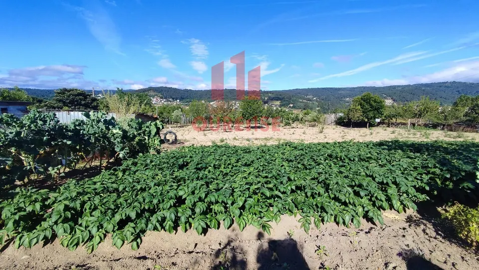 FINCA DE MÁS DE TRES MIL METROS CUADRADOS EN SAN CIBRAO DAS VIÑAS.