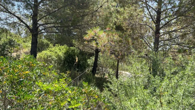 CONSTRUYE TU PROPIO HOGAR EN UN LUGAR PRIVILEGIADO URB. LA COMA DE BORRIOL — 9