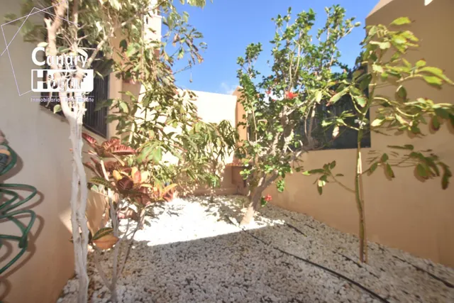 ADOSADO DUPLEX en alquiler de corta Temporada en El Medano - foto 3