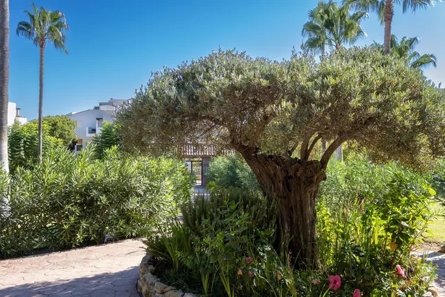 Apartamento 2 habitaciones 92m² en venta - Riviera del sol — 32