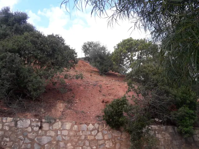 OPORTUNIDAD ÚNICA – PARCELA DE USO DEPORTIVO EN LA RESERVA DE MARBELLA — 2