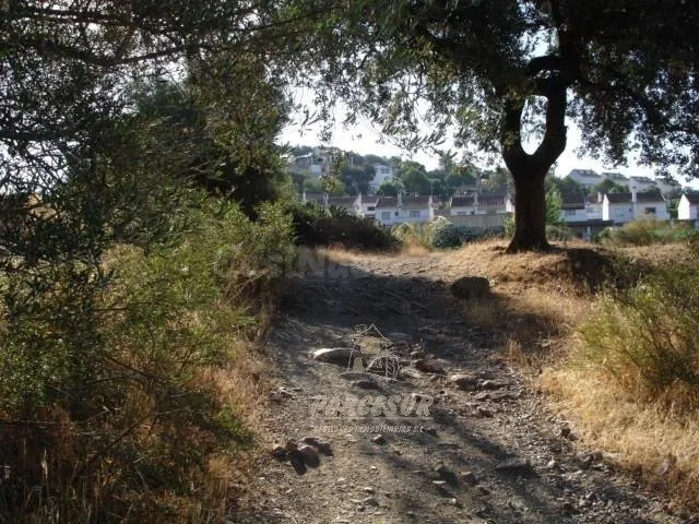 SUELO URBANO DE 36.000 M2 EN LOS ENCINARES DE ALCOLEA. - foto 2