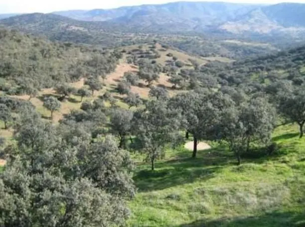 "Finca de Ensueño en Hornachuelos: Caza, Naturaleza y Confort" — 34