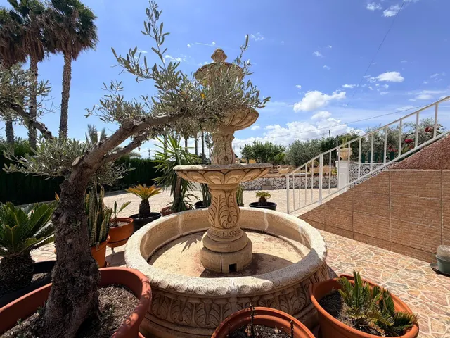 Chalet Elche zona bonavista — 12