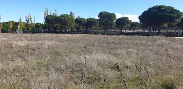Urbis te ofrece parcelas urbanas en Aldeamayor de San Martín, Valladolid. — 10