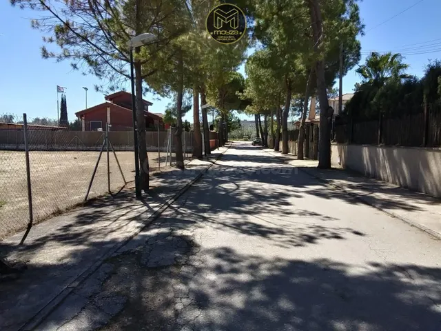 SOLAR EN LA YEDRA
