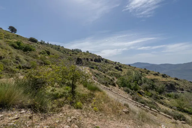 PARCELA EN VENTA EN SOPORTÚJAR — 23