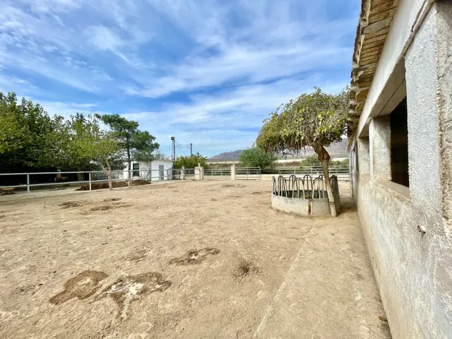 Casa de campo 3 habitaciones 130m² en venta - Montepinar-La Aparecida-Raiguero — 49