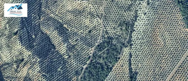 Venta Terreno en Villacarrillo - Jaén