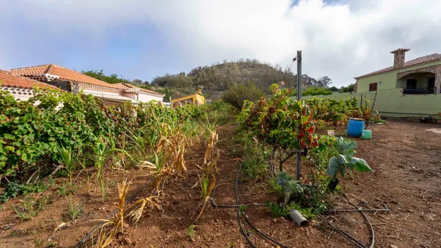 Terreno urbano en Tacoronte. — 5