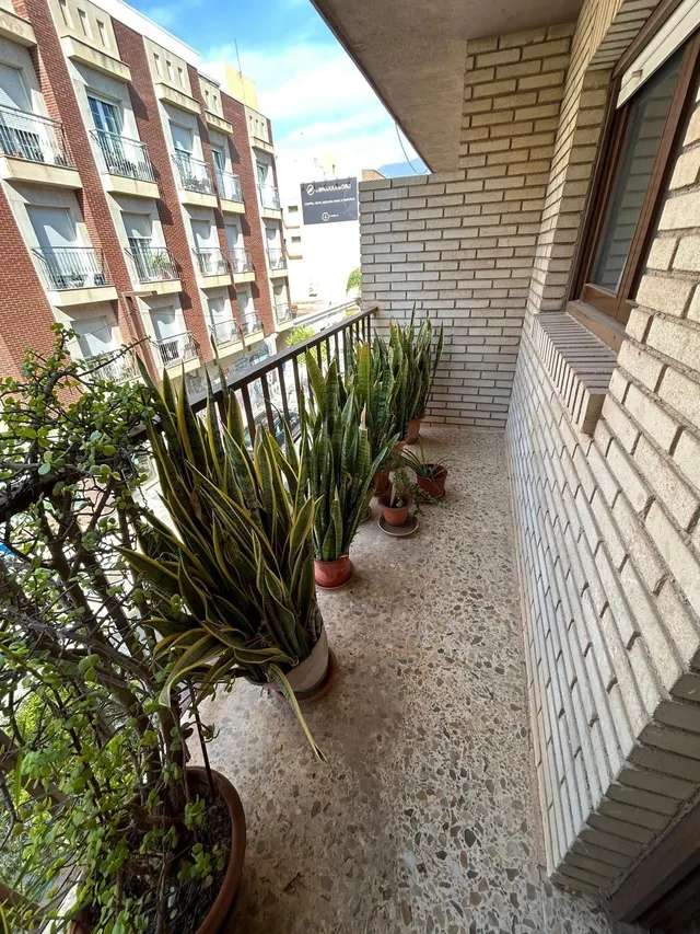 4 DORMITORIOS + 2 BAÑOS EN EL CORAZÓN DE EL EJIDO — 11