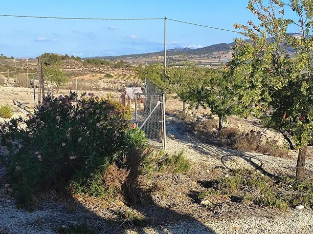 Se vende chalet /monovar / listo para vivir / arboles frutales — 6