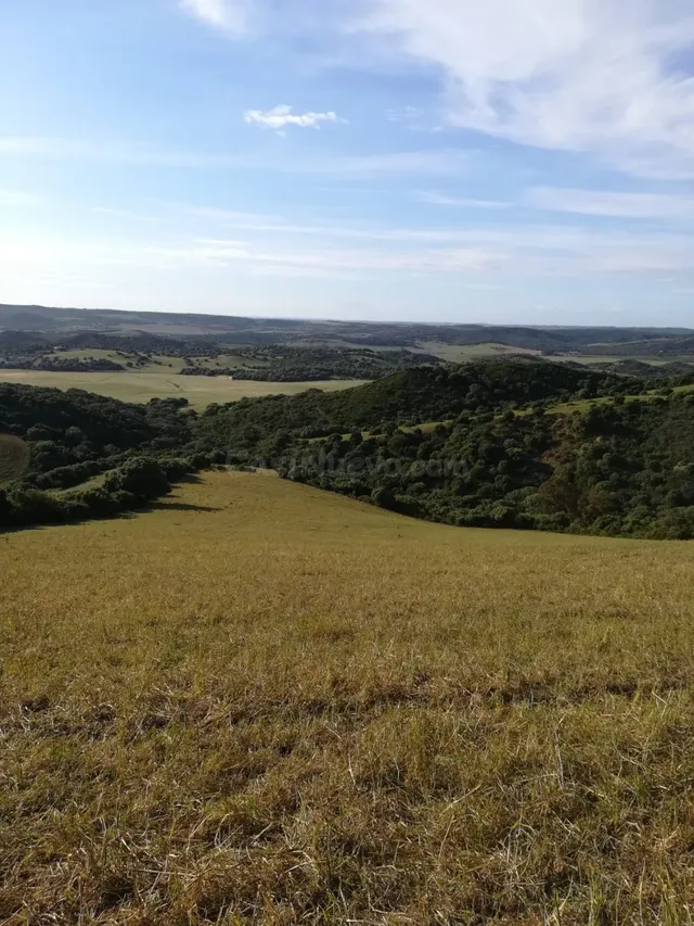 Parcela Rústica 32.000 m2. Zona Patria - foto 4