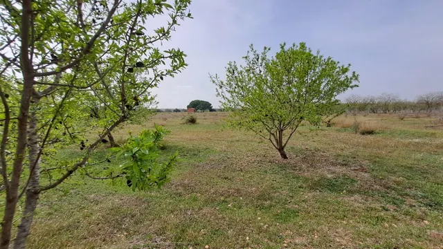 Finca rústica en venta en Constanti — 10