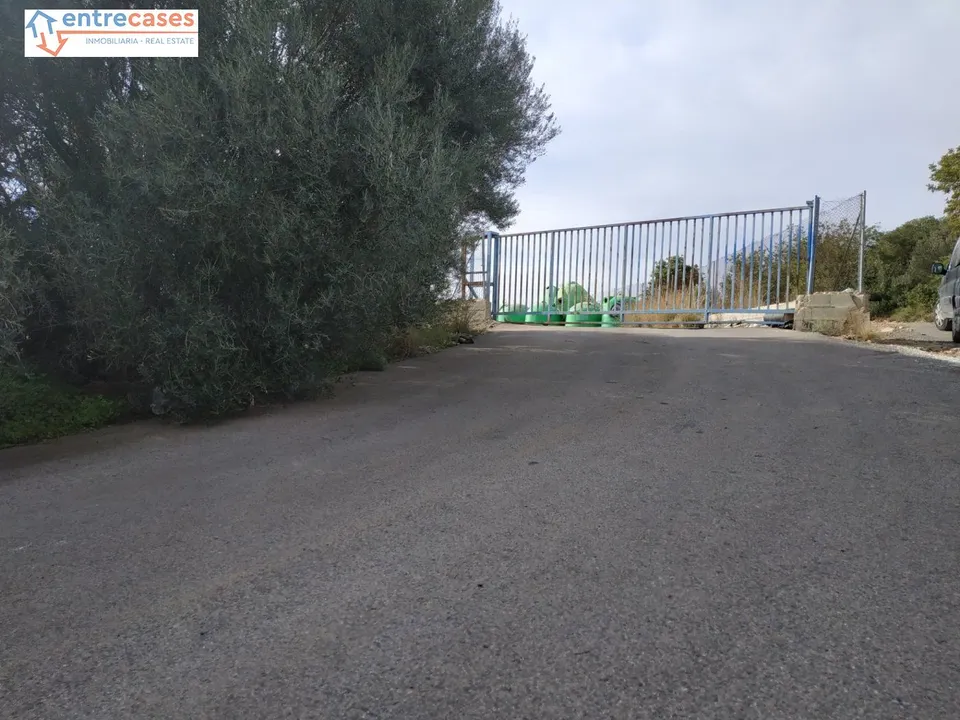 PARCELA DE DOS HANEGADAS EN PARTIDA LA COVA, VALL D'UIXO