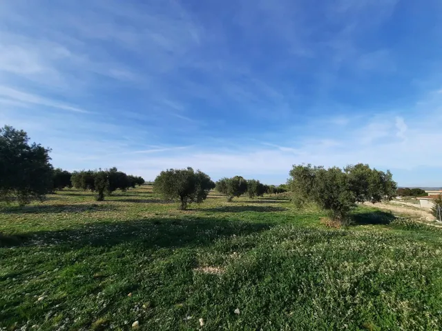 TERRENO PARA SU CASA DE CAMPO EN CANTO BLANCO — 6