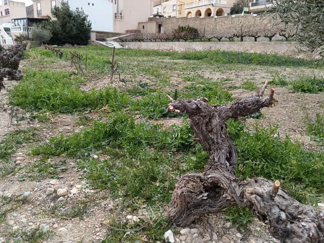 Oportunidad única en Oría (Almería) — 7