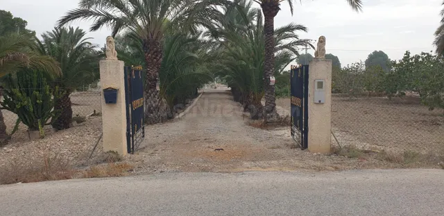 Casa de Campo a 7 Km. de Orihuela ,de 292 metros cuadrados - foto 2