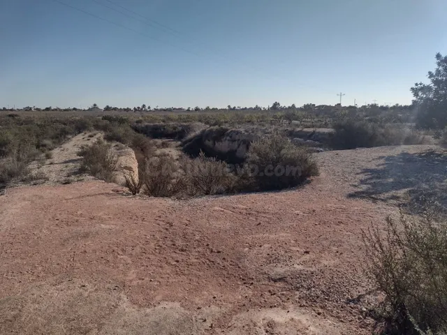 Terreno en Elche - foto 4